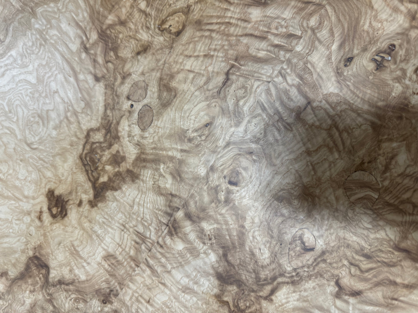 Olive Ash - Parchment