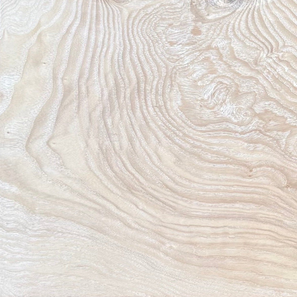 Olive Ash Burl Contrast-Coastline