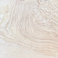 Olive Ash Burl Contrast-Coastline