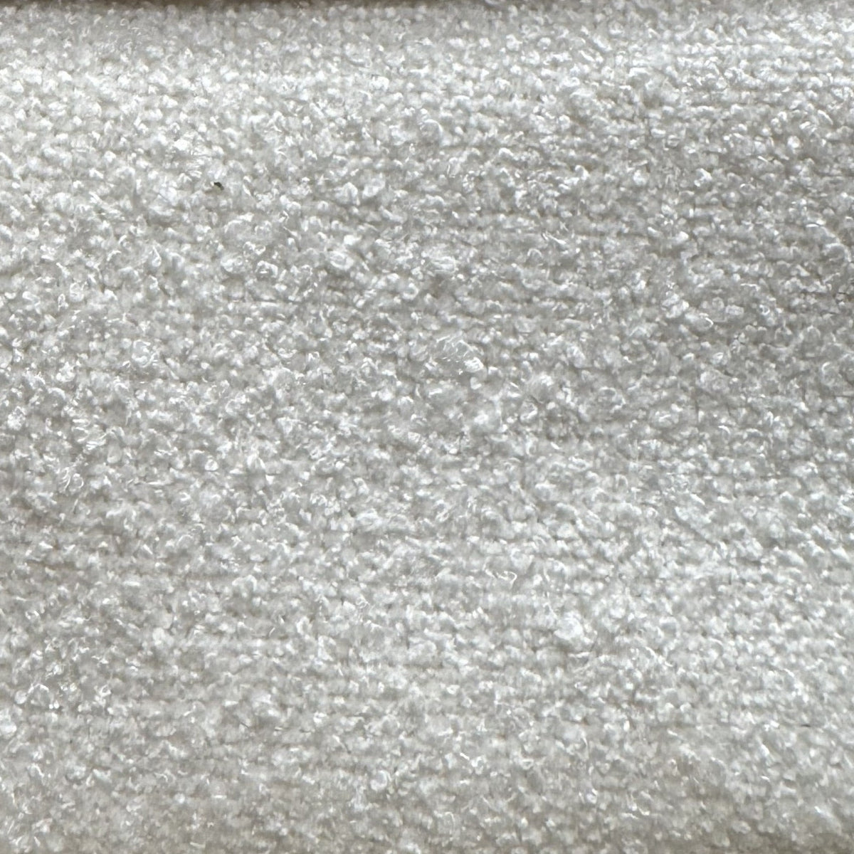 Ziv Boucle